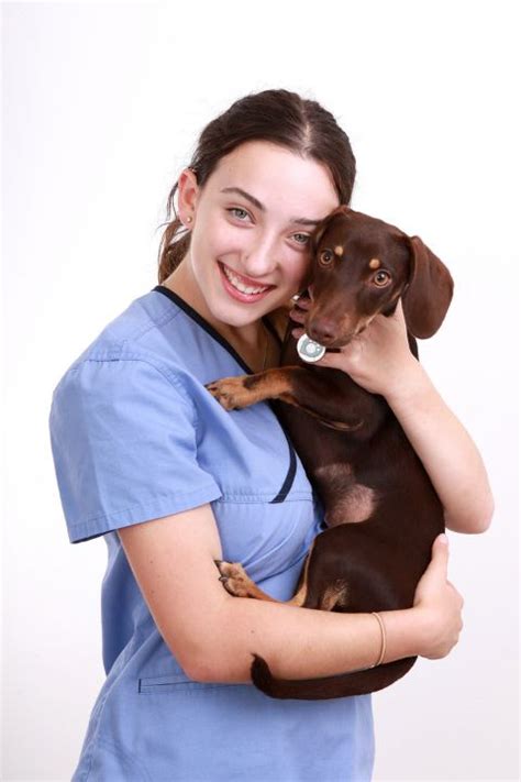 the berwick village vet|The Berwick Village Vet, 35 Clyde Road, Berwick, Reviews and  .